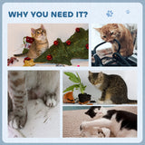 PawHut 2-in-1 Cat Scratching Board with Catnip for Indoor Cats, 26.5 x 57 x 26.5cm, Blue