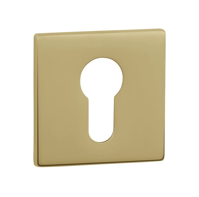 Tupai Exclusivo 5S Line Euro Escutcheons on 5mm Slimline Square Rose - Raw Brass - Pair