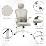 Vinsetto Multi-Adjustable Office Chair, with Lumbar Support, Headrest and Mesh Back - Grey