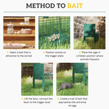 Outsunny Metal Rat Trap with Single Door, for Small Animals, Dark Green