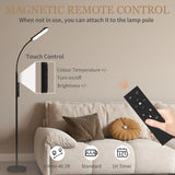 HOMCOM LED Floor Lamp, Standing Lamp with Remote & Touch Control, Stepless Dimmable Colours Temperature & Brightness, 360 Adjustable Gooseneck, 1 Hour Timer, Memory Function for Living Room, Black