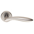 SHARK LEVER ON SPRUNG SCREW-ON ROUND ROSE - SATIN CHROME - SET
